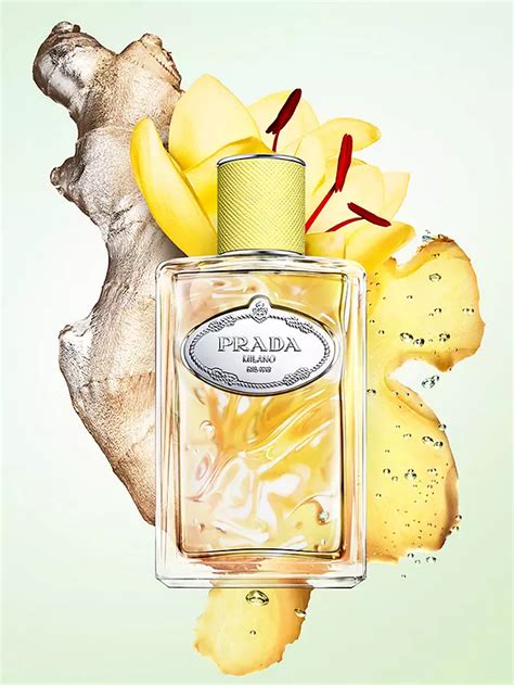 infusion de gingembre by prada.